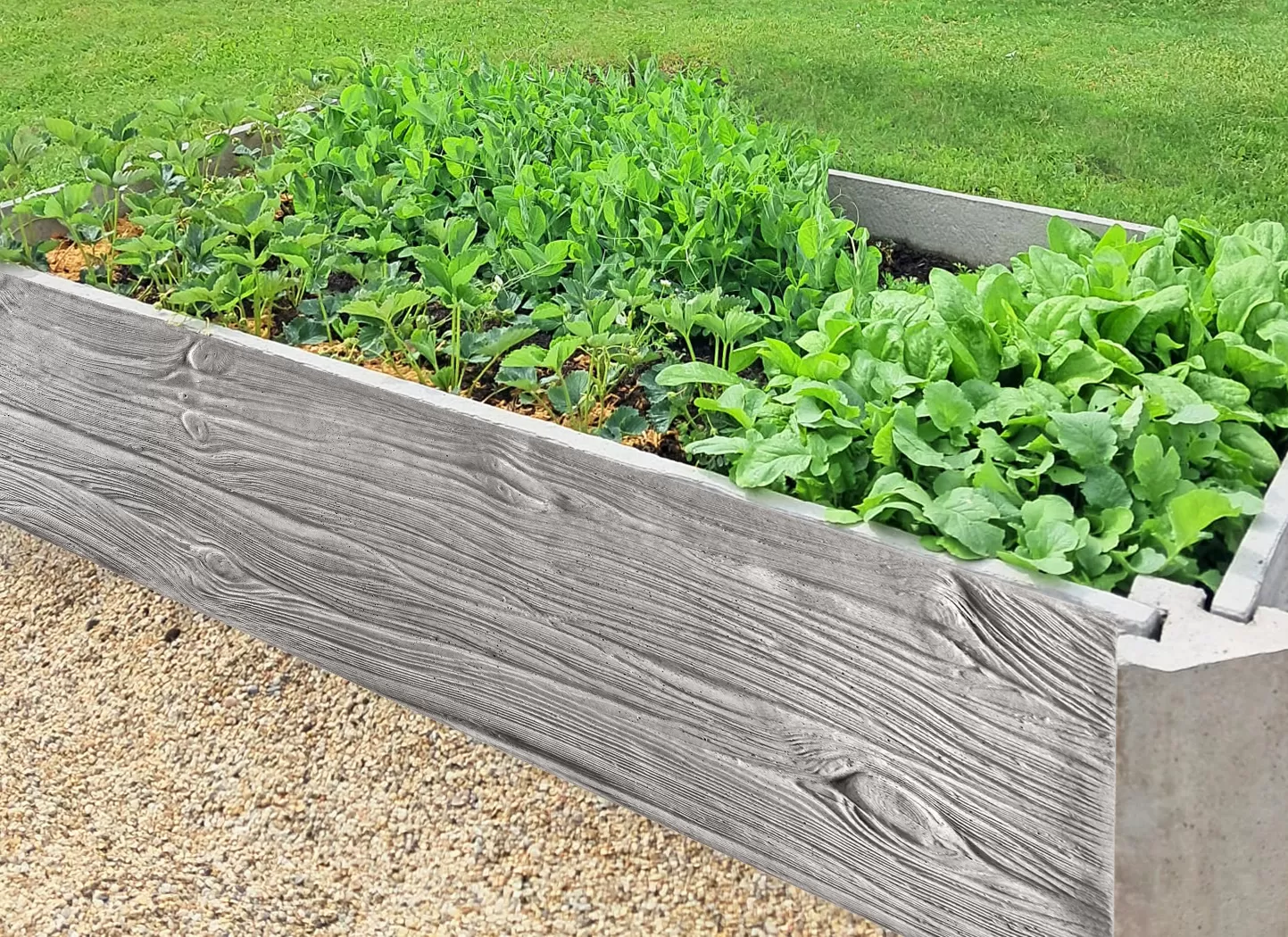 Vyvýšené betónové záhony: Prečo je pre vašu úrodu betón lepší ako drevo?